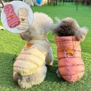 곰돌이상회