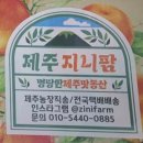 지니팜 | [후기] 새콤달콤 향긋한 귤이 한가득 __ 제주 지니팜 노지감귤귤 주문 (내돈내산)