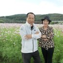 2025대구 북구 금호꽃섬 대구하중도에서 이미지