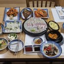 성당물회.회타운 | 대구 성당동 맛집 서부정류장역 횟집 단체 모임 회식 외식 추천 성당물회 성당회타운 리뷰
