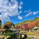 배론성지 | [2025 단풍] 제천 가볼만한곳 단풍명소 배론성지 실시간 단풍 후기