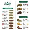 쑥스초코파이