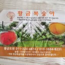 황금농원복숭아