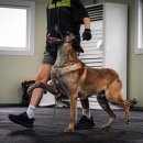 루카스독트레이닝 이미지