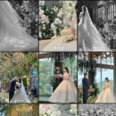 지지팔레트 | 대구 아이폰스냅 팔레트스냅 계약후기 구미 출장가능 스냅