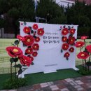 청룡초등학교 (청룡초 병설 포함) 이미지