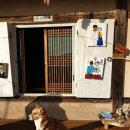 맘모스미용실 이미지