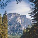 선 행정사 사무소 이미지