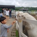 표선도서관 이미지