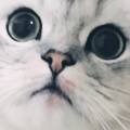 미유네일 이미지