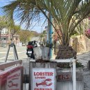 와현로 | 거제도가볼만한곳 바릇 해물라면 맛집 비주얼 최고 (꼬막비빔밥 후기)