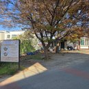 이장님밥상 이미지