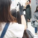 선경미장원 | 염색 잘하는 양주 미용실/옥정동 미용실♥이철헤어커커 양주이마트점