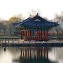 궁남지 서문주차장 이미지