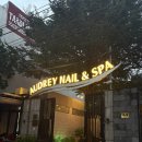 오드리 | 다낭 마사지 오드리네일앤스파 후기 | 오드리스파 60분 마사지, 예약, 픽드랍