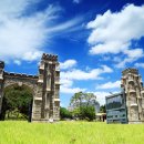 조치원_고려대학교 정문 이미지