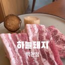 백천좋은고기