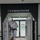 한국체대MTA태권도장 이미지