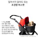 퍼플체리네일 | 플로디 강아지 유모차 F1 초대형 에어바퀴 프리미엄 브랜드