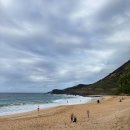 72번가 | [하와이 여행] 4일차 ②│72번가 국도 드라이브 코스│샌디비치│마카푸우 전망대│마카푸우 등대...