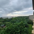 더쎈제주영어교육도시공인중개사사무소 이미지