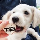 월령경로당 네이버블로그