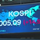 센스밸류 이미지