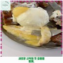 장수서창동-9 | 인후1동 애견카페 CAFE DUMBO 가격 및 후기 추천 리뷰 주차 예약 알아봐요