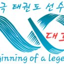용인대 석사 대호태권도 이미지