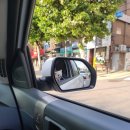 헬릭스동물암센터 이미지