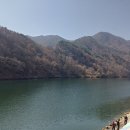 시루인 | 딸기시루 후기..(성심당)