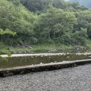 수영가든 | [여행 / 전라북도 완주시] 대전근교 계곡 수영 물놀이 하기 좋은 운주계곡 솥밭가든 내돈내산 후기