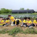 윤가농장 이미지