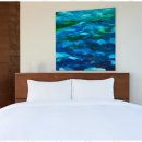 비발디 향기나무 이미지