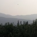 동화보건진료소 이미지