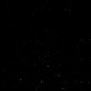 느티나무 캠핑장 이미지