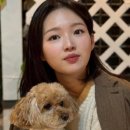 김시현 카카오 검색결과