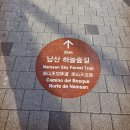 남산길 | 손목닥터 9988 건강 5대장 챌린지 달성 중 남산 둘레길 하늘숲길 산책 후기