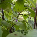 이화농장 이미지