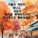 진인 Daum카페