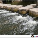 양림천교 이미지