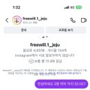 킹스유도클럽 2호점 | [제주도 혼술바, 게스트하우스 ] 4박5일간 유흥만 즐긴 모음 zip 후기및 꿀팁