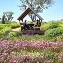 거창창포원 이미지