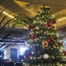 이일돈한의원 이미지