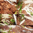 고구려식당 이미지