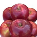 밝은안경원 이미지