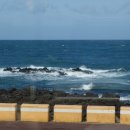 제주정지 이미지