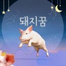 꿈 Daum카페