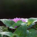 성동구청 이미지