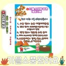 🐂11월 소띠방 주관 ^가을산책과 소풍사이^ 테마 기획 행사 안내 이미지